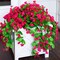 2 PCS Artificial Faux Hanging Plants Flowers for Outdoor Outside Spring Decoration(Hotpink)